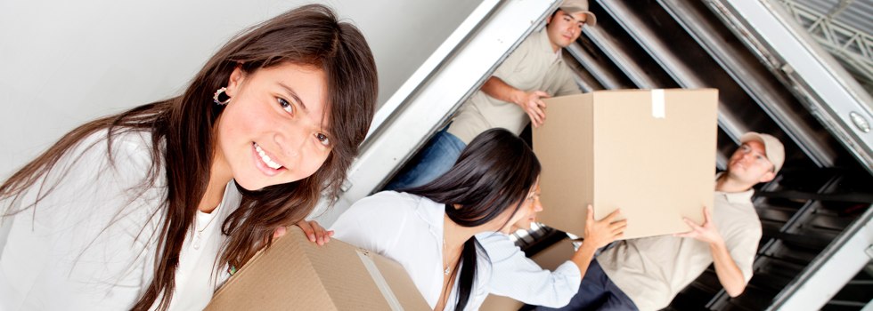Professional Removalists Yinnar South